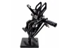 SEFIS Racing rearset Kawasaki ZX-10R 2004-2005 for a motorcycle