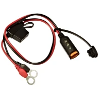CTEK Comfort Indicator Eyelet M6