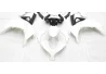 Kawasaki ZX300R 2013 complete fairing K0313