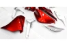 Honda VFR1200 2010-2013 complete fairing RDS