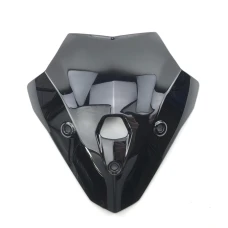 Plexiglas shield dark smoke BMW F900R 2020-2023 Plexiglas shield dark smoke BMW F900R 2020-2023
