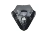 Plexiglas shield dark smoke BMW F900R 2020-2023 for a motorcycle