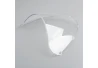 Windscreen clear Honda CBR 954 2002-2003 for a motorcycle
