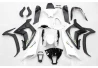 Kawasaki ZX-10R 2011-2014 complete fairing BWE