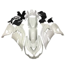 Kawasaki ZX-14R 2012-2017 complete fairing RNE Kawasaki ZX-14R 2012-2017 complete fairing RNE