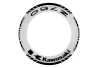 SEFIS one-piece wheel decals KAWASAKI Z750