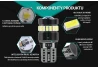 SEFIS LED bulb 224 W5W T10 12V 19SMD white for the car
