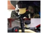 SEFIS Honda Suzuki clutch fluid container for a motorcycle