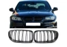 Front grill mask Double-line BMW 3 E90/91 2009-2012 carbon on the car