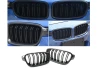 Front grill mask Double-line BMW BMW 3 F30 F31 2012-2018 carbon on the car
