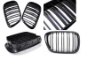 Front grill mask Double-line BMW 5 E39 1997-2003 FACELIFT black on the car