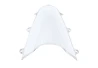Windscreen clear Honda CBR 1000RR 2017-2018 for a motorcycle
