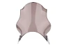 Windscreen for Honda CB600F Hornet 1998-2002 for a motorcycle
