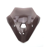 Plexiglas light smoke BMW F900R 2020-2023
