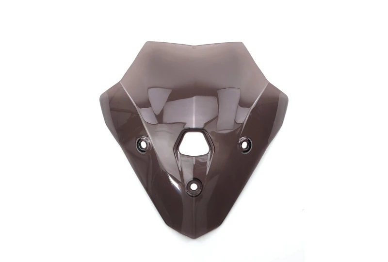 Plexiglas light smoke BMW F900R 2020-2023 for a motorcycle