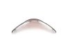 Windshield mild smoke Kawasaki ZX-9R 1998-1999 for a motorcycle