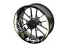 SEFIS one-piece wheel decals KAWASAKI ZX-10R