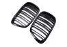 Front grill mask Double-line BMW 5 E39 1997-2003 FACELIFT black on the car