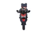 SEFIS Sefis sticker - Staffordshire bull terrier for bikers