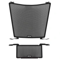 SEFIS radiator grille guard cover BMW S1000R / S1000RR 2019-2024