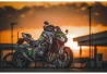 SEFIS radiator cover Kawasaki Z900 2017-2023 for a motorcycle