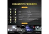 SEFIS sufit LED bulb 31mm 12V C5W 6SMD CANBUS white for the car