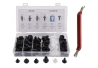 SEFIS set of plastic screws 6-10mm 100 pcs + key for a motorcycle