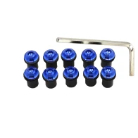 Windscreen windshield bolts blue