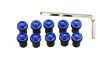 Windscreen windshield bolts blue