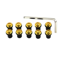 Windscreen windshield bolts gold