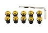 Windscreen windshield bolts gold