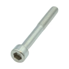 Screw M10x100x1,5mm