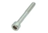 Screw M10x80x1,5mm