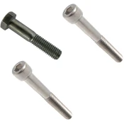 Screws for protectors